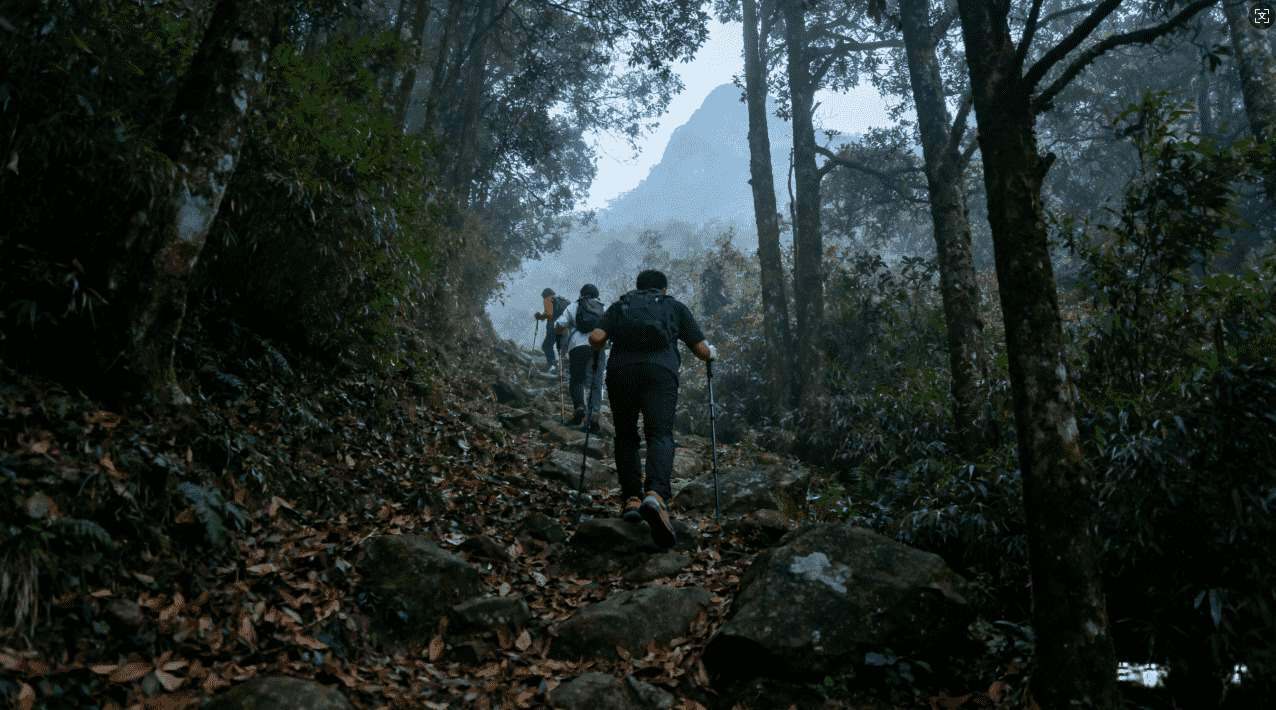 天行加速器速度变慢的原因分析及快速提升的方法详解